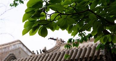 手機也能拍大片？北京這座四合院里，驚喜正在發生！